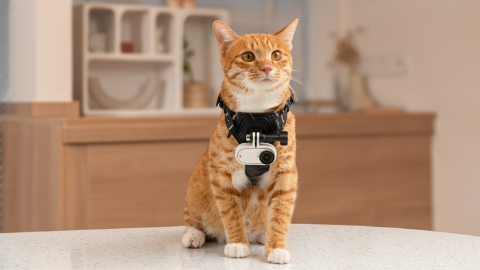 With such a small footprint, it's the perfect camera for pet adventure videos.